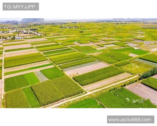 辽宁本钢加快绿色转型推动钢铁产业高质量发展新格局形成